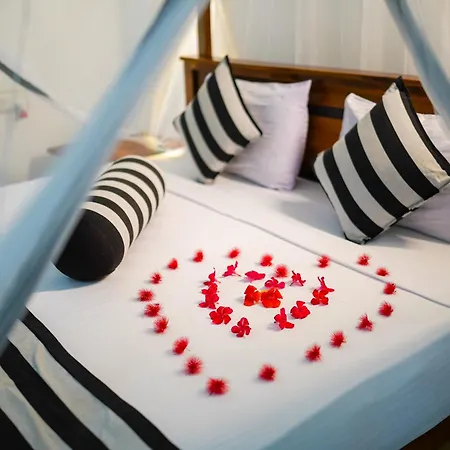 Nice View Lodge Sigiriya Room photo