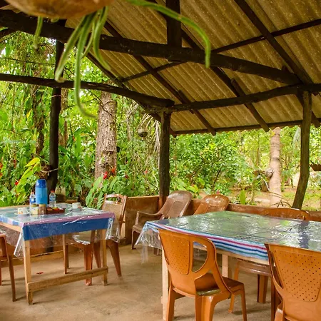 Nice View Lodge Sigiriya Exterior photo