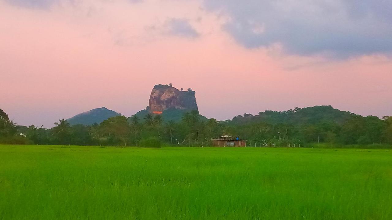 Lodge View *