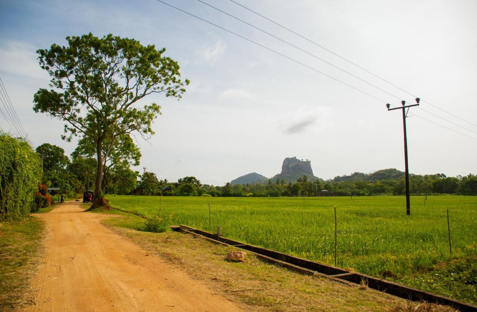 View Lodge Sigiriya