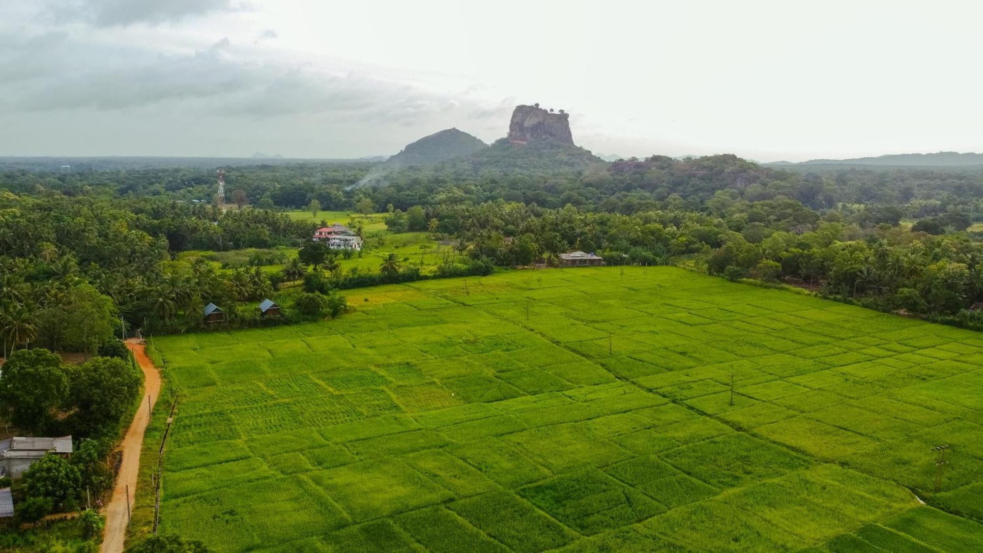 Lodge View Sigiriya