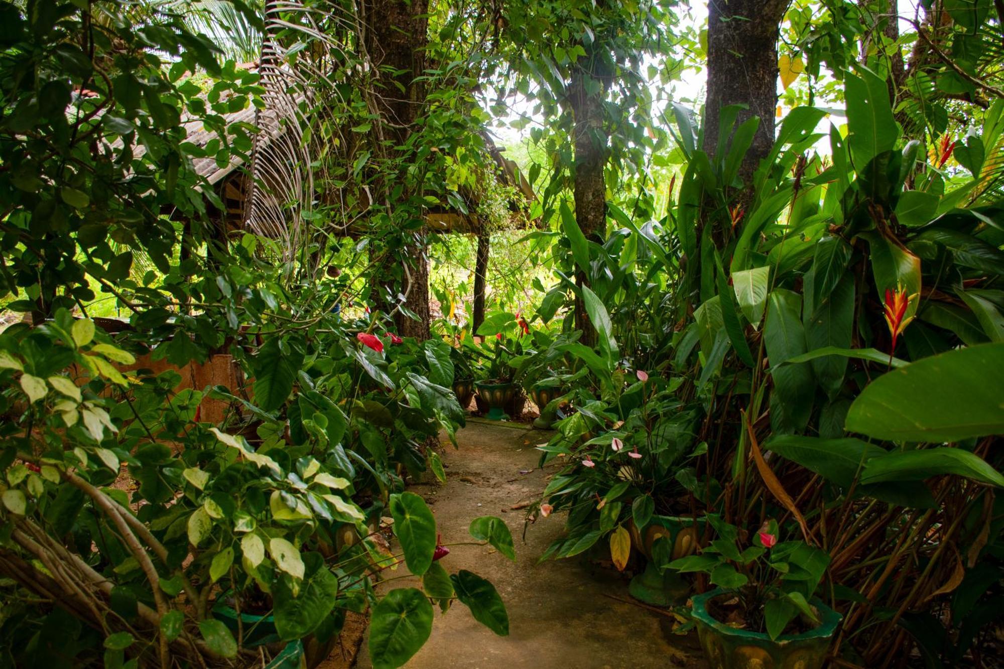 Lodge View Sigiriya